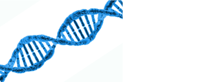 dna dna